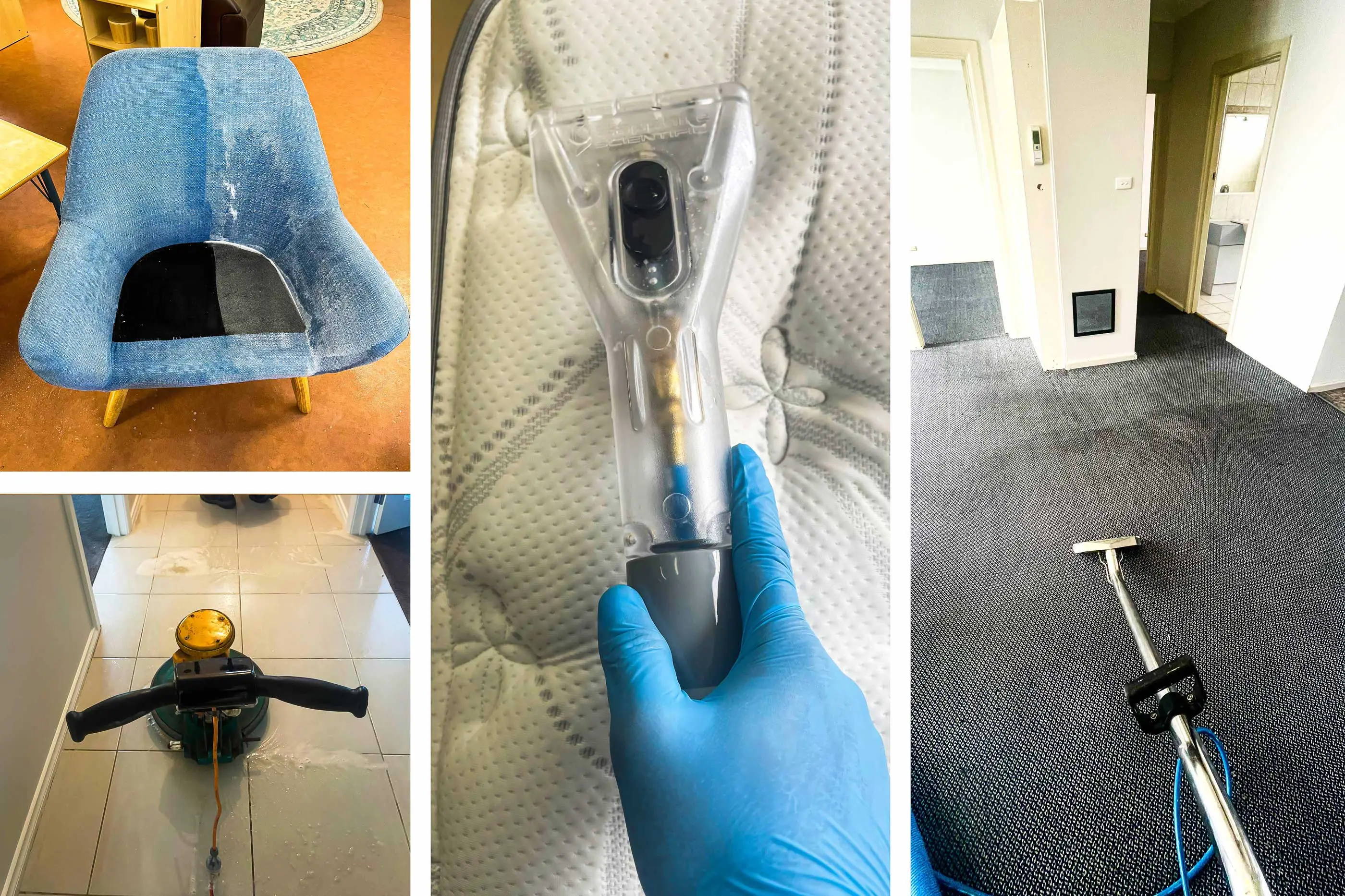 Carpet and Pressure Cleaning